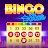 Bingo Star - Bingo Games Tiktok ads