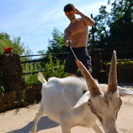 Pietro_ravasio Tiktok ads