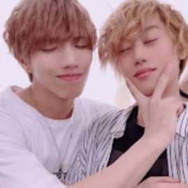 ブリとカワウソ Tiktok ads