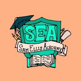 Sam Ellis Academy Tiktok ads