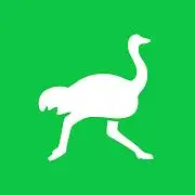 Delivery Club – Доставка еды и продуктов Tiktok ads