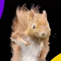 shalloww335 Tiktok ads