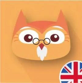 Holy Owly Tiktok ads