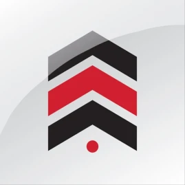 Emirates Auction Tiktok ads