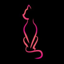 MeowChowNow - Meet Girls LGBTQ Tiktok ads