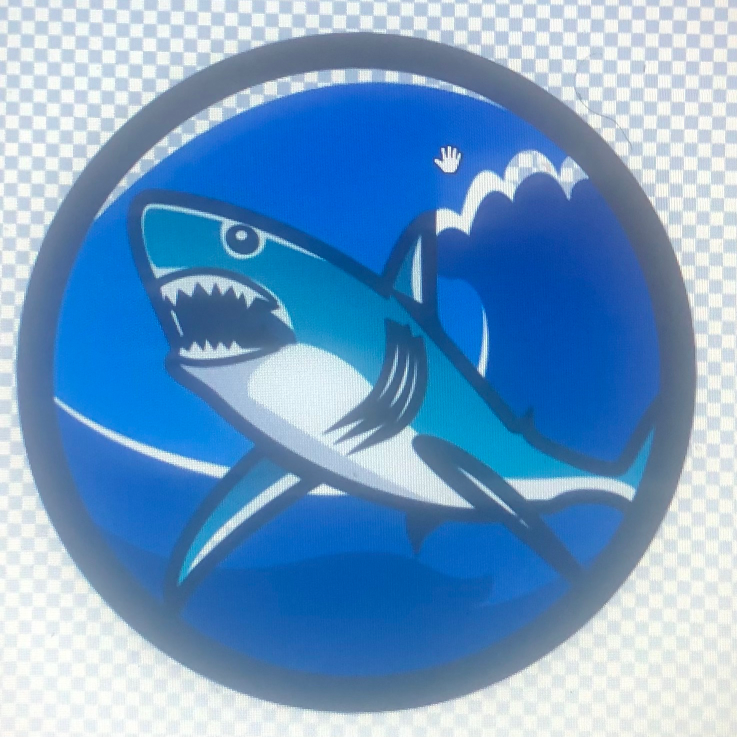 Shark slide TikTok advertising TikTok shark slide ads 1 TikTok ads spy tool Pipiads