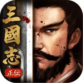 正伝三国志 Tiktok ads