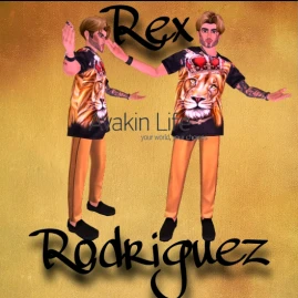 ѕαкυяαgι Tiktok ads