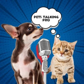 Pets Talking Club Tiktok ads