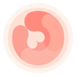 HiMommy - daily pregnancy app Tiktok ads