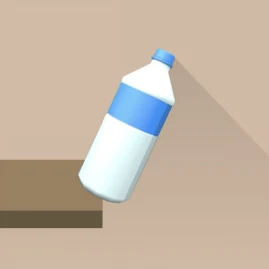 Bottle Flip 3D! Tiktok ads