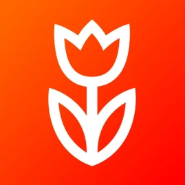 Flowwow: flowers & gifts shop Tiktok ads