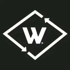 Wayback Burgers Tiktok ads