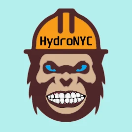 HydroNYC Tiktok ads