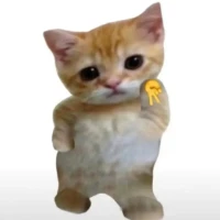 temu_trendyfinds Tiktok ads