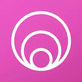 Earnin: Up to $100/day from your pay Tiktok ads