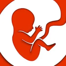 BitLife - Life Simulator Tiktok ads