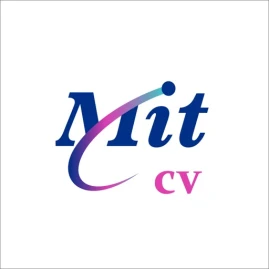 MIT CV Tiktok ads