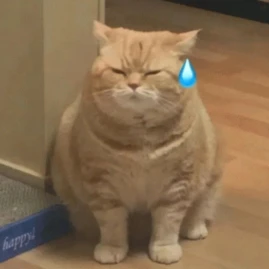 珍的會謝 Tiktok ads