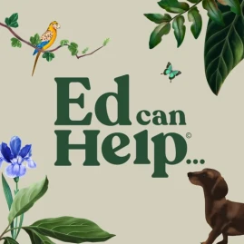 Ed can Help: Anxiety Self-Care Tiktok ads