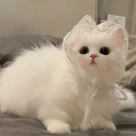 Helloitsnana Tiktok ads