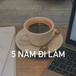 5 Năm Đi Làm Tiktok ads