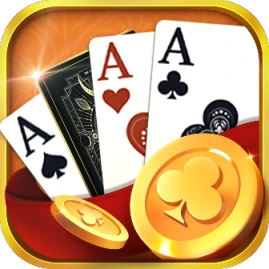 داقش&هاند Plus Tiktok ads