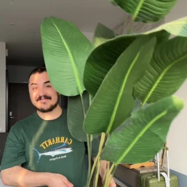 Petre-Andrei Tiktok ads