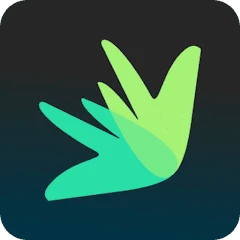 Dovly AI - Credit Engine Tiktok ads