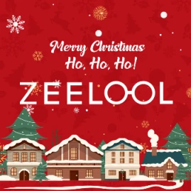 Zeelool Tiktok ads
