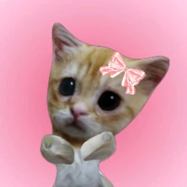 lary 😺 ᪲᪲ Tiktok ads