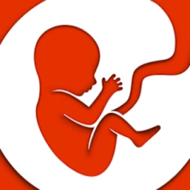 BitLife - Life Simulator Tiktok ads