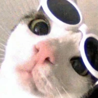 SuperCuteToyFinds Tiktok ads