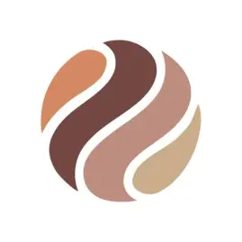 ScreenKit- App Icons & Widgets Tiktok ads