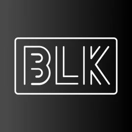 BLK - Dating for Black singles Tiktok ads