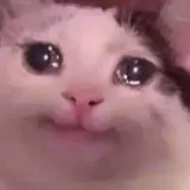 CEO OF SEKOLAH Tiktok ads