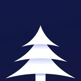 Firora VPN - Fast Secure Proxy Tiktok ads