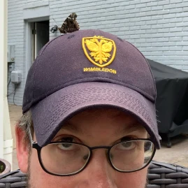 John Green Tiktok ads