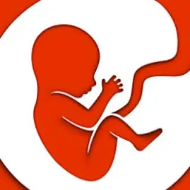 BitLife - Life Simulator Tiktok ads