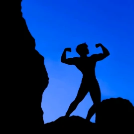 David Whitton Tiktok ads