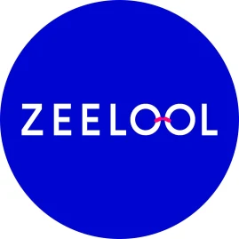 ZEELOOL Tiktok ads