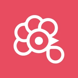 Rooster Car Insurance Tiktok ads