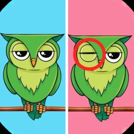 Find & Seek Tiktok ads