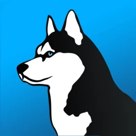 Phone Guardian Safe Mobile VPN Tiktok ads