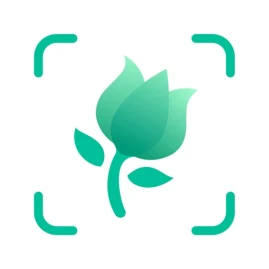 PictureThis - Plant Identifier Tiktok ads