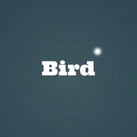 Bird Tiktok ads