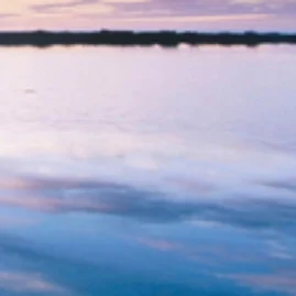 BESTMMORPG Tiktok ads