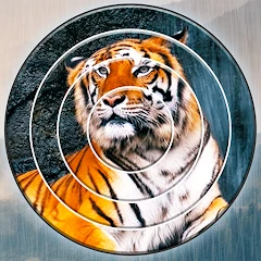 Jigsort Puzzles: Jigsaw Art HD Tiktok ads