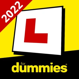 Dummies® Driving Theory Test Tiktok ads