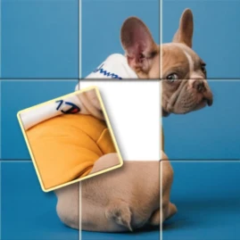 Jigsort Puzzle Games Tiktok ads